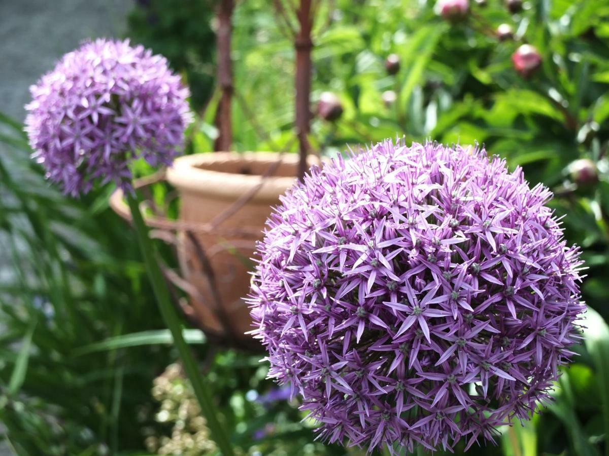 Ferienhaus In Der Schlipfing Mit Garten 阿尔特穆斯特 外观 照片
