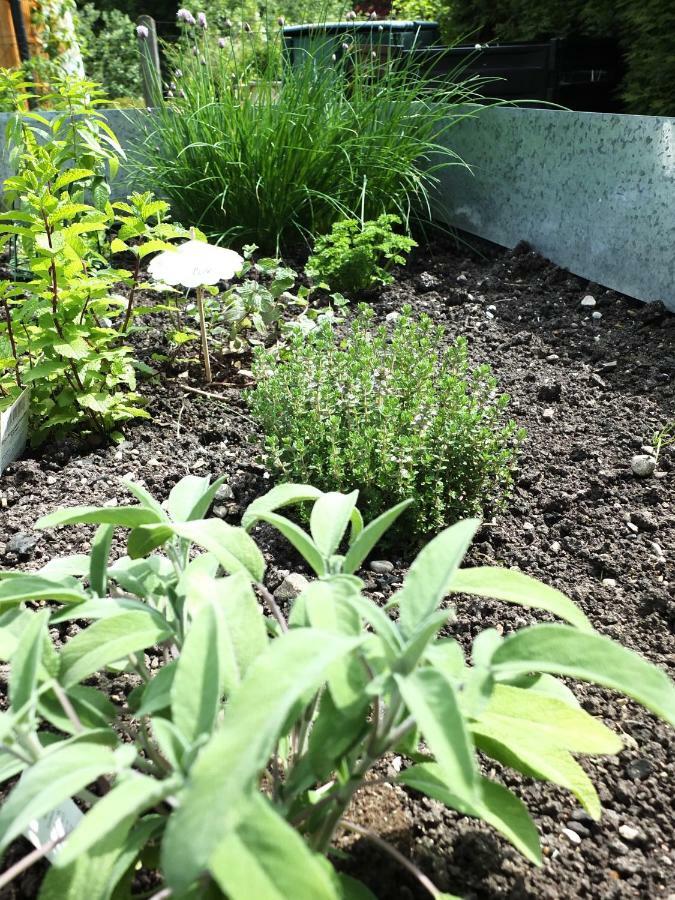Ferienhaus In Der Schlipfing Mit Garten 阿尔特穆斯特 外观 照片