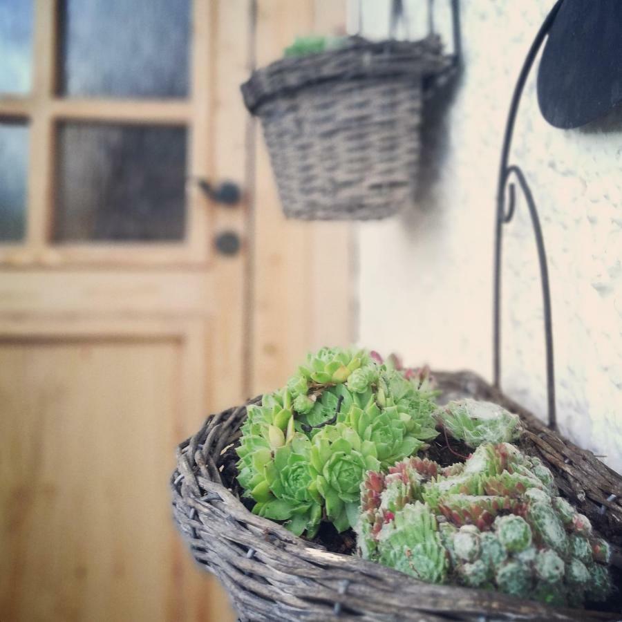 Ferienhaus In Der Schlipfing Mit Garten 阿尔特穆斯特 外观 照片