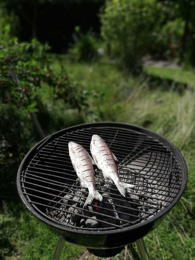 Ferienhaus In Der Schlipfing Mit Garten 阿尔特穆斯特 外观 照片