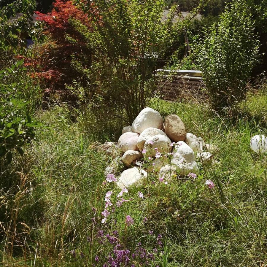 Ferienhaus In Der Schlipfing Mit Garten 阿尔特穆斯特 外观 照片